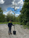 Alnus Incana 8/10cm Standard