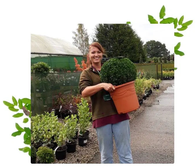 A trusted and respected nursery for over 40 years